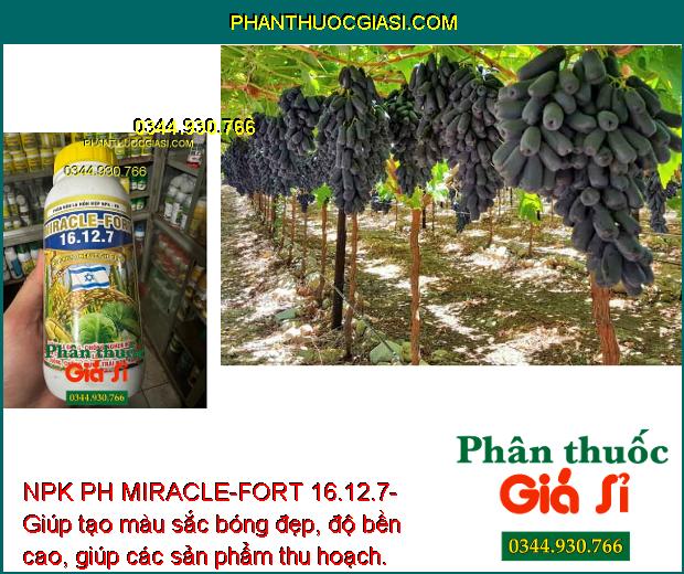 NPK PH MIRACLE-FORT 16.12.7- Tăng Sức Đề Kháng - Dưỡng Đòng Lúa - Tăng Kích Thước Hạt