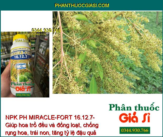 NPK PH MIRACLE-FORT 16.12.7- Tăng Sức Đề Kháng - Dưỡng Đòng Lúa - Tăng Kích Thước Hạt