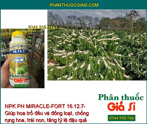 NPK PH MIRACLE-FORT 16.12.7- Tăng Sức Đề Kháng - Dưỡng Đòng Lúa - Tăng Kích Thước Hạt