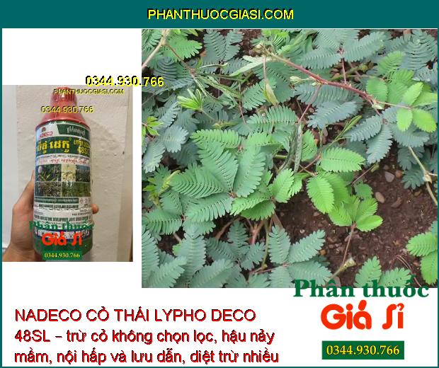 NADECO CỎ THÁI LYPHO DECO 48SL –  Diệt Tất Cả Loại Cỏ - Tận Gốc Rễ