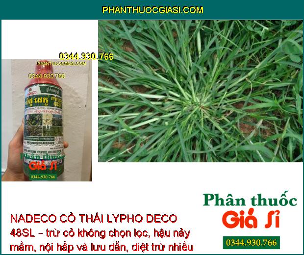 NADECO CỎ THÁI LYPHO DECO 48SL –  Diệt Tất Cả Loại Cỏ - Tận Gốc Rễ