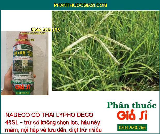 NADECO CỎ THÁI LYPHO DECO 48SL –  Diệt Tất Cả Loại Cỏ - Tận Gốc Rễ