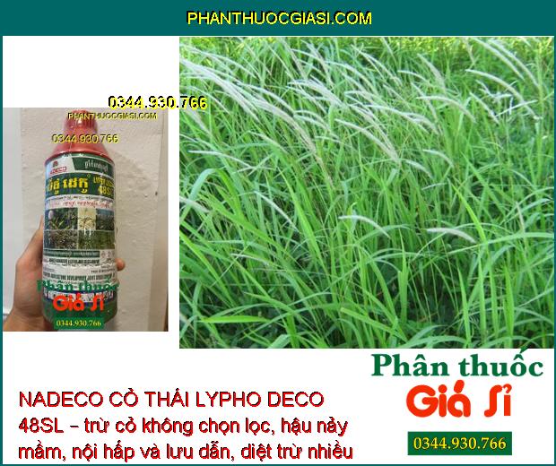 NADECO CỎ THÁI LYPHO DECO 48SL –  Diệt Tất Cả Loại Cỏ - Tận Gốc Rễ