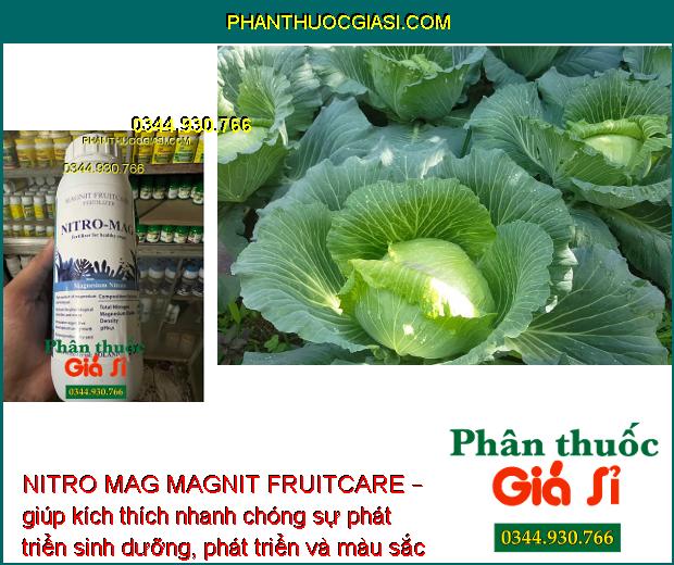 NITRO MAG MAGNIT FRUITCARE – giúp kích thích nhanh chóng sự phát triển sinh dưỡng, phát triển và màu sắc của cây trồng.