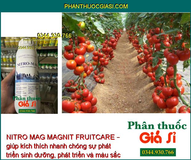 NITRO MAG MAGNIT FRUITCARE – giúp kích thích nhanh chóng sự phát triển sinh dưỡng, phát triển và màu sắc của cây trồng.