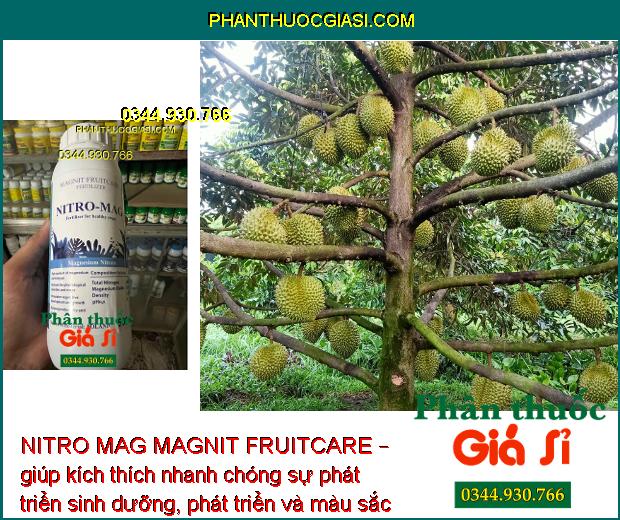 NITRO MAG MAGNIT FRUITCARE – giúp kích thích nhanh chóng sự phát triển sinh dưỡng, phát triển và màu sắc của cây trồng.