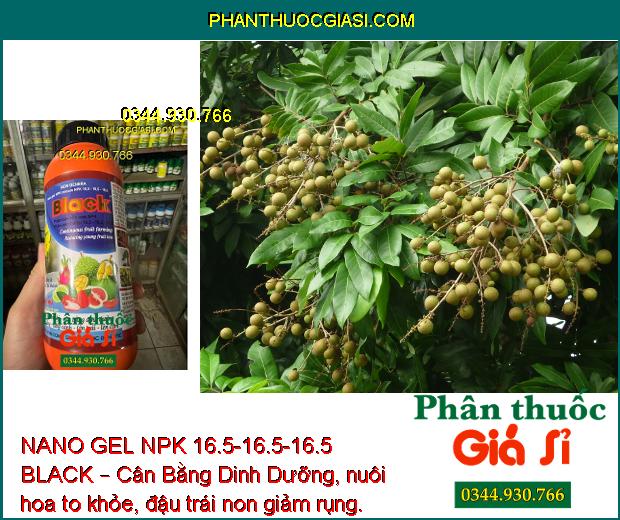 NANO GEL NPK 16.5-16.5-16.5 BLACK – Cân Bằng Dinh Dưỡng - Nuôi Hoa Khỏe - Tăng Năng Suất