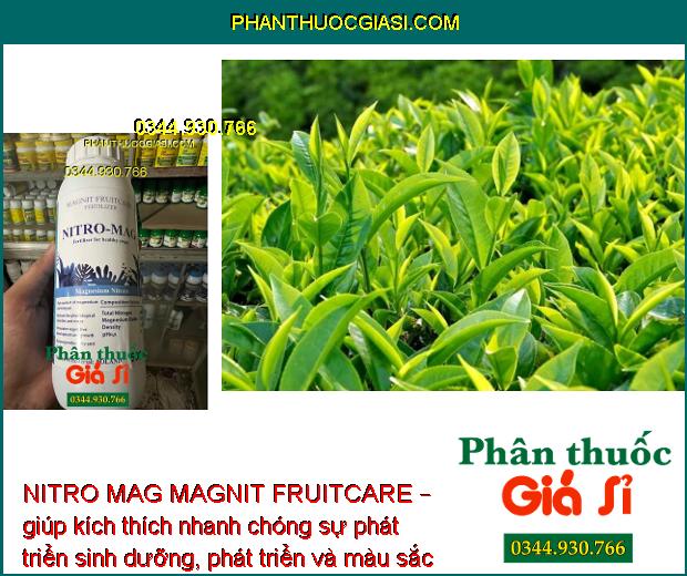 NITRO MAG MAGNIT FRUITCARE – giúp kích thích nhanh chóng sự phát triển sinh dưỡng, phát triển và màu sắc của cây trồng.