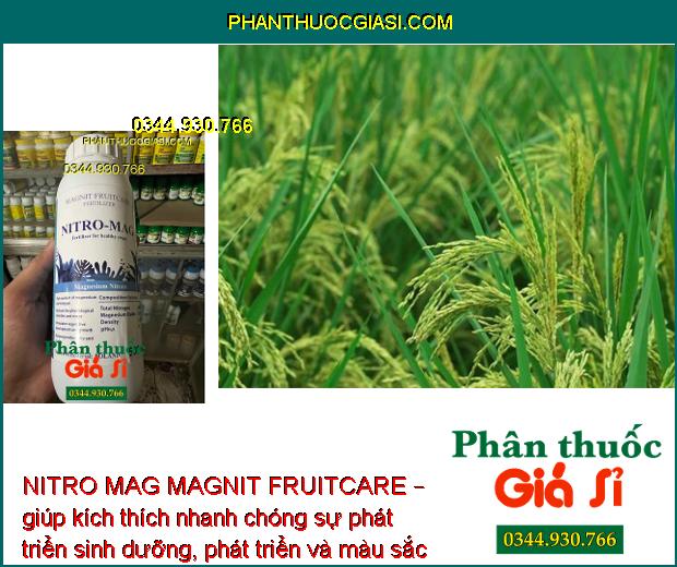 NITRO MAG MAGNIT FRUITCARE – giúp kích thích nhanh chóng sự phát triển sinh dưỡng, phát triển và màu sắc của cây trồng.