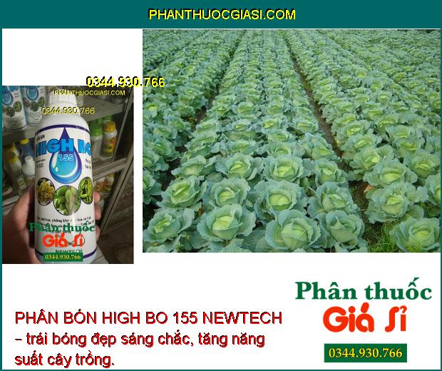 PHÂN BÓN HIGH BO 155 NEWTECH – Tăng Đậu Trái - Chống Rụng Hoa Và Trái Non - Dưỡng Trái - Trái Bóng Đẹp