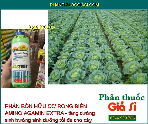 PHÂN BÓN HỮU CƠ RONG BIỂN AMINO AGAMIN EXTRA - GIÚP MÁT BÔNG TỐT TRÁI - CẢI TẠO ĐẤT 