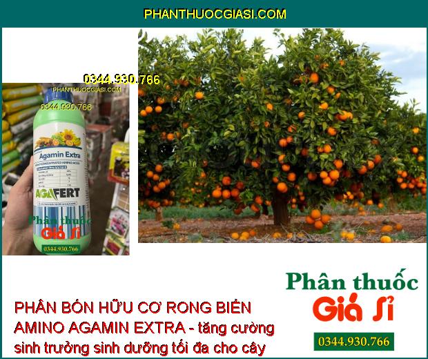 PHÂN BÓN HỮU CƠ RONG BIỂN AMINO AGAMIN EXTRA - GIÚP MÁT BÔNG TỐT TRÁI - CẢI TẠO ĐẤT 