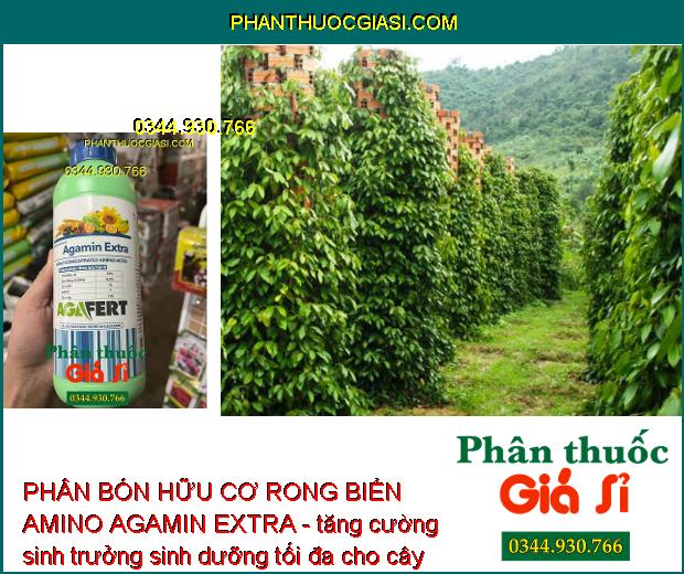 PHÂN BÓN HỮU CƠ RONG BIỂN AMINO AGAMIN EXTRA - GIÚP MÁT BÔNG TỐT TRÁI - CẢI TẠO ĐẤT 