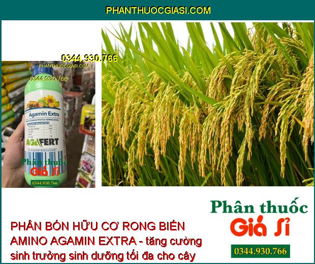 PHÂN BÓN HỮU CƠ RONG BIỂN AMINO AGAMIN EXTRA - GIÚP MÁT BÔNG TỐT TRÁI - CẢI TẠO ĐẤT 