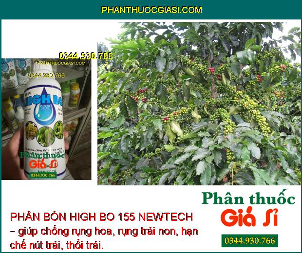 PHÂN BÓN HIGH BO 155 NEWTECH – Tăng Đậu Trái - Chống Rụng Hoa Và Trái Non - Dưỡng Trái - Trái Bóng Đẹp