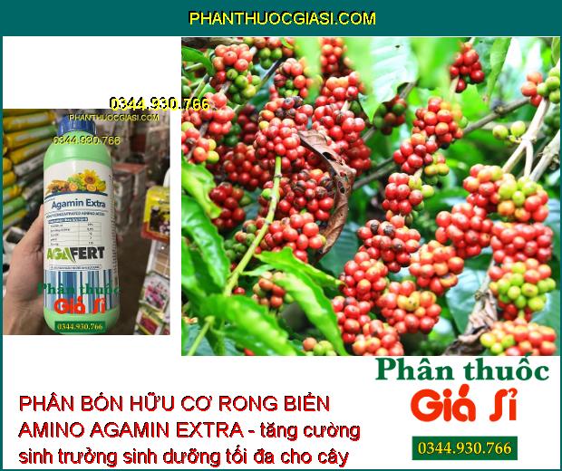 PHÂN BÓN HỮU CƠ RONG BIỂN AMINO AGAMIN EXTRA - GIÚP MÁT BÔNG TỐT TRÁI - CẢI TẠO ĐẤT 