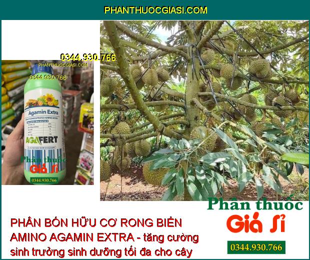 PHÂN BÓN HỮU CƠ RONG BIỂN AMINO AGAMIN EXTRA - GIÚP MÁT BÔNG TỐT TRÁI - CẢI TẠO ĐẤT 