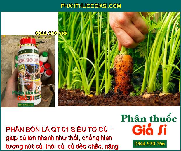 PHÂN BÓN LÁ QT 01 SIÊU TO CỦ – Củ Phì To - Chắc Củ - Nhiều Tinh Bột