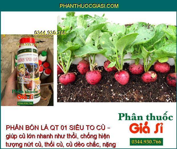 PHÂN BÓN LÁ QT 01 SIÊU TO CỦ – Củ Phì To - Chắc Củ - Nhiều Tinh Bột