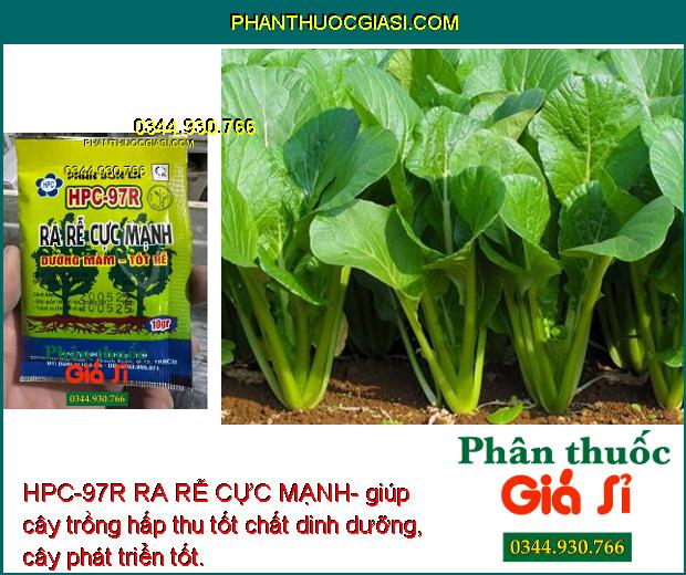 HPC-97R RA RỄ CỰC MẠNH- giúp cây trồng hấp thu tốt chất dinh dưỡng, cây phát triển tốt.