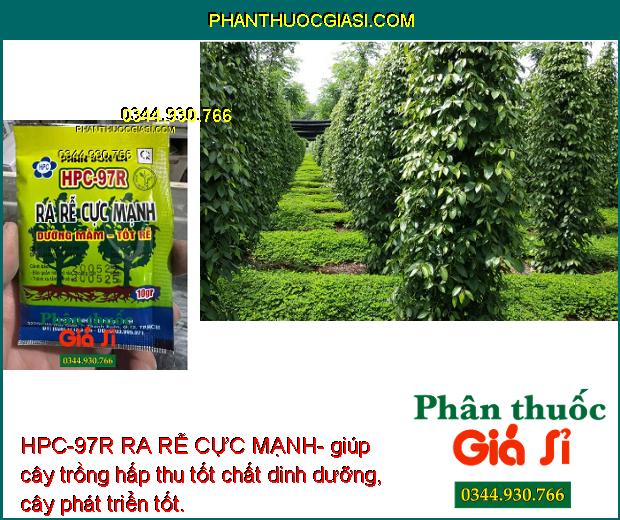 HPC-97R RA RỄ CỰC MẠNH- giúp cây trồng hấp thu tốt chất dinh dưỡng, cây phát triển tốt.