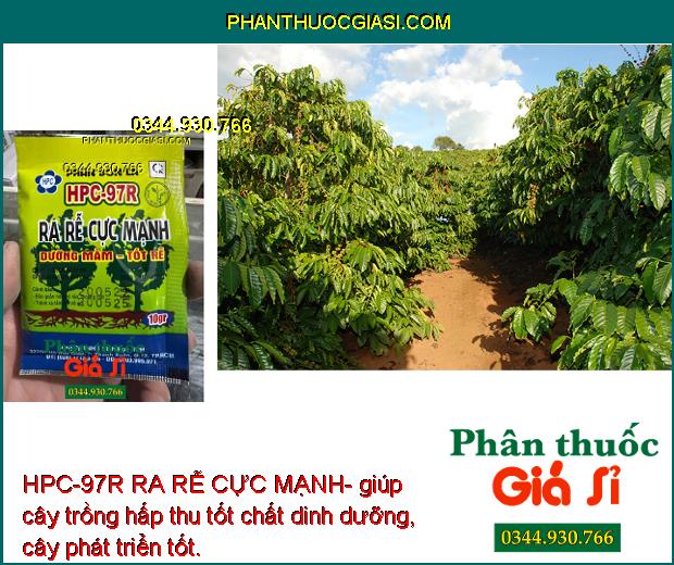 HPC-97R RA RỄ CỰC MẠNH- giúp cây trồng hấp thu tốt chất dinh dưỡng, cây phát triển tốt.