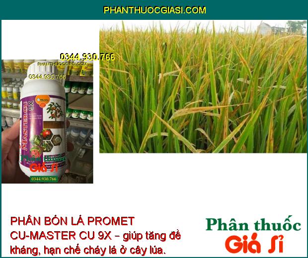 PHÂN BÓN LÁ PROMET CU-MASTER CU 9X – Tăng Đề Kháng - Ngăn Ngừa Thối Rễ - Vàng Lá - Sơ Đen Mít