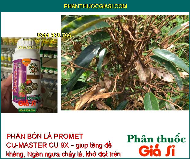 PHÂN BÓN LÁ PROMET CU-MASTER CU 9X – Tăng Đề Kháng - Ngăn Ngừa Thối Rễ - Vàng Lá - Sơ Đen Mít