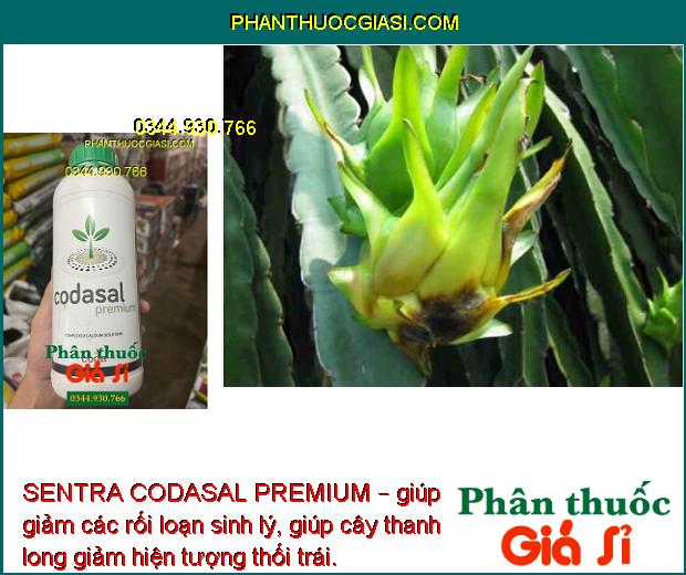 SENTRA CODASAL PREMIUM – Phòng Chống Thối Trái - Nứt Trái - Tăng Năng Suất