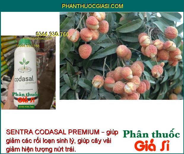 SENTRA CODASAL PREMIUM – Phòng Chống Thối Trái - Nứt Trái - Tăng Năng Suất