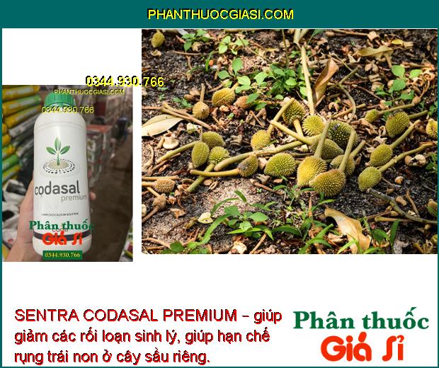 SENTRA CODASAL PREMIUM – Phòng Chống Thối Trái - Nứt Trái - Tăng Năng Suất