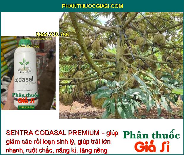 SENTRA CODASAL PREMIUM – Phòng Chống Thối Trái - Nứt Trái - Tăng Năng Suất