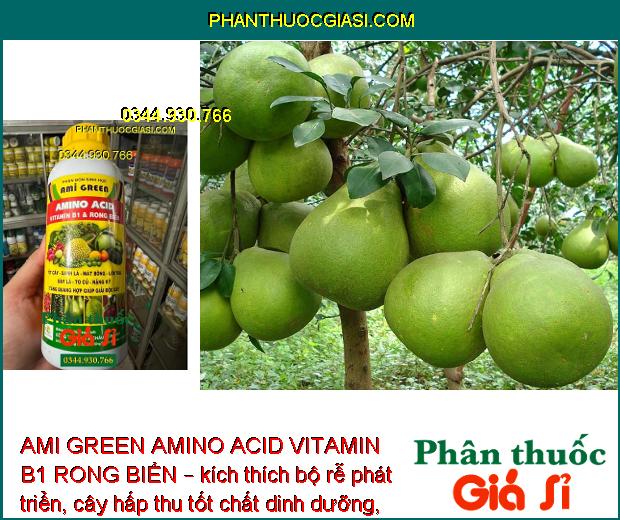 AMI GREEN AMINO ACID VITAMIN B1 RONG BIỂN – Giải Độc Cây - Kích Thích Sinh Trưởng