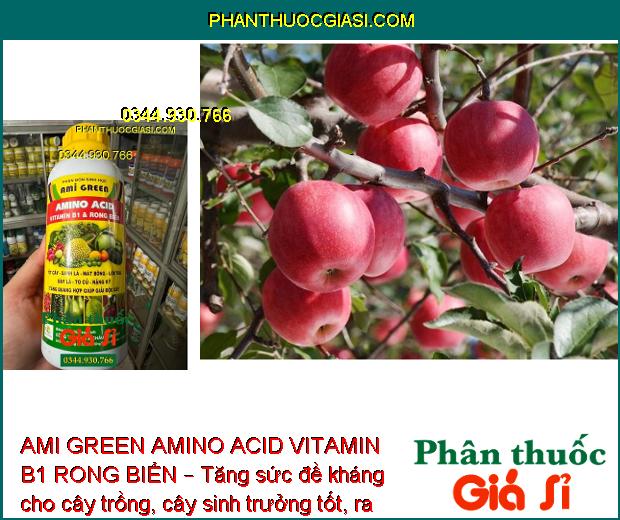 AMI GREEN AMINO ACID VITAMIN B1 RONG BIỂN – Giải Độc Cây - Kích Thích Sinh Trưởng