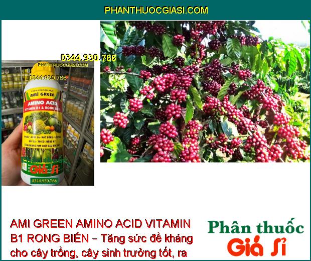 AMI GREEN AMINO ACID VITAMIN B1 RONG BIỂN – Giải Độc Cây - Kích Thích Sinh Trưởng