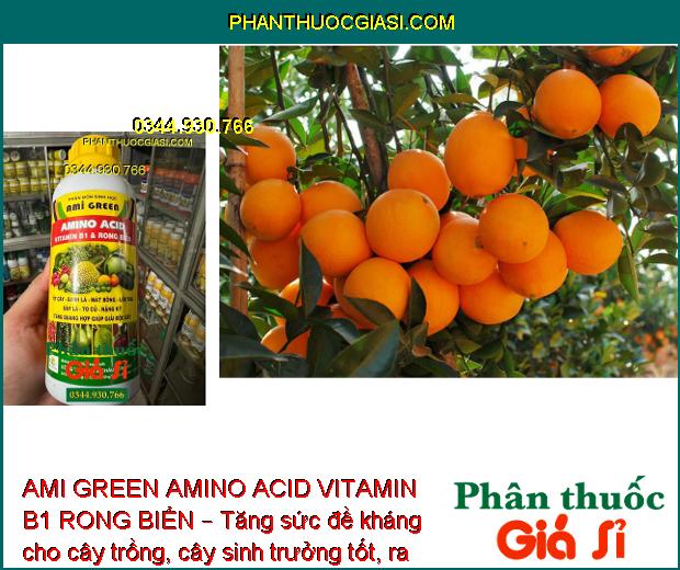 AMI GREEN AMINO ACID VITAMIN B1 RONG BIỂN – Giải Độc Cây - Kích Thích Sinh Trưởng