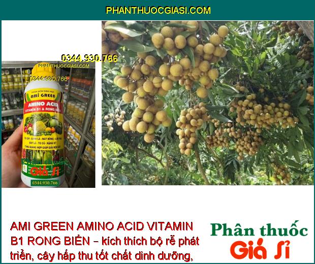 AMI GREEN AMINO ACID VITAMIN B1 RONG BIỂN – Giải Độc Cây - Kích Thích Sinh Trưởng