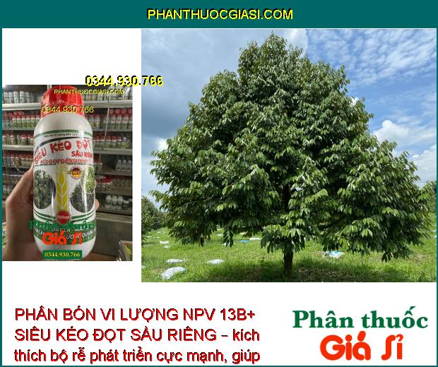 PHÂN BÓN VI LƯỢNG NPV 13B+ SIÊU KÉO ĐỌT SẦU RIÊNG – KÉO ĐỌT ĐỒNG LOẠT