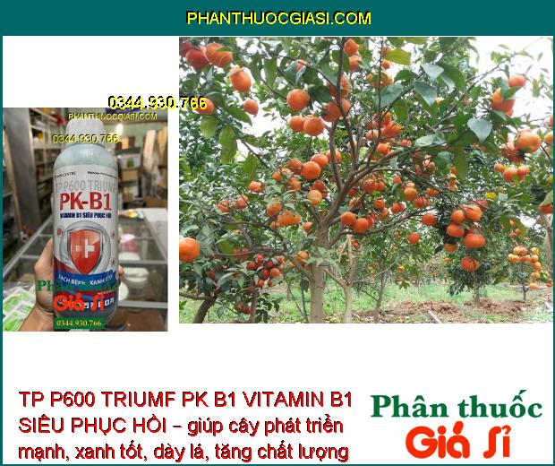 TP P600 TRIUMF PK B1 VITAMIN B1 SIÊU PHỤC HỒI – Tăng Đề Kháng - Cây Phát Triển Mạnh