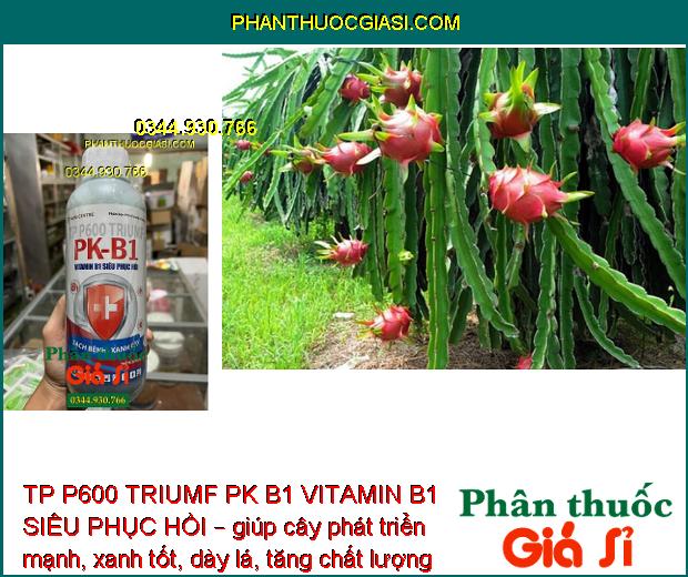 TP P600 TRIUMF PK B1 VITAMIN B1 SIÊU PHỤC HỒI – Tăng Đề Kháng - Cây Phát Triển Mạnh