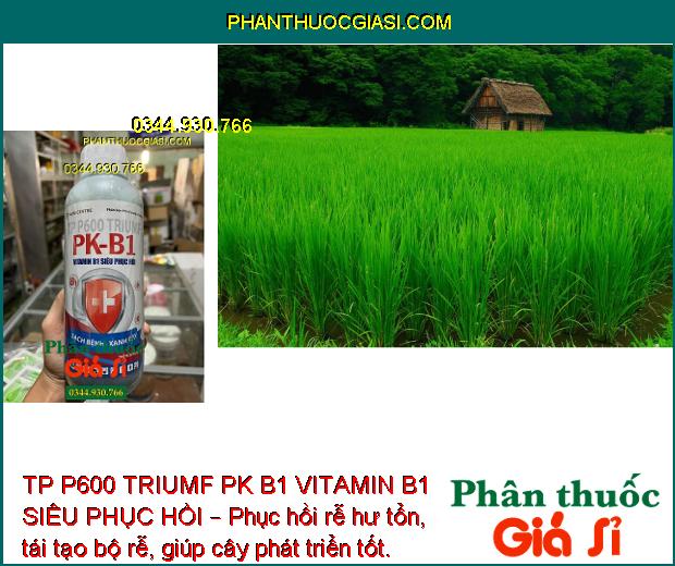 TP P600 TRIUMF PK B1 VITAMIN B1 SIÊU PHỤC HỒI – Tăng Đề Kháng - Cây Phát Triển Mạnh