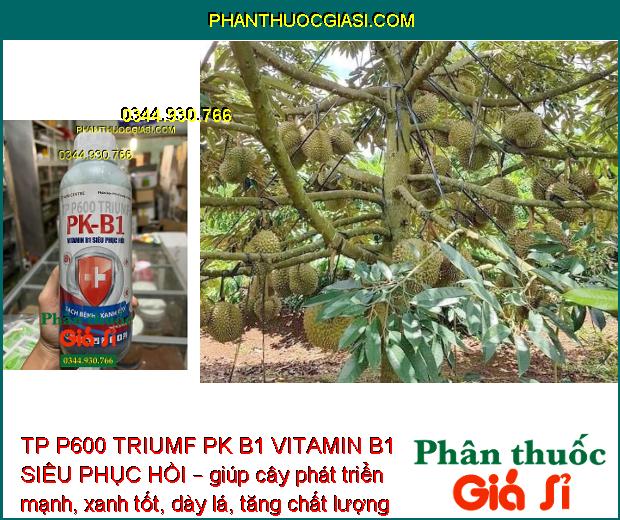 TP P600 TRIUMF PK B1 VITAMIN B1 SIÊU PHỤC HỒI – Tăng Đề Kháng - Cây Phát Triển Mạnh