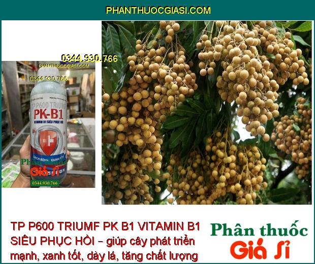 TP P600 TRIUMF PK B1 VITAMIN B1 SIÊU PHỤC HỒI – Tăng Đề Kháng - Cây Phát Triển Mạnh