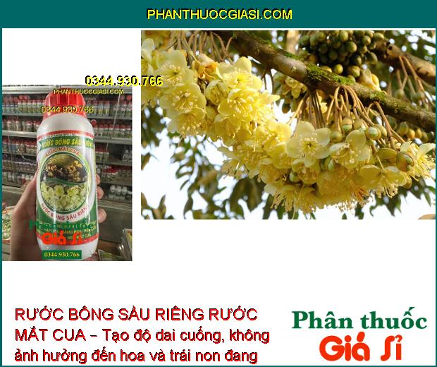 RƯỚC BÔNG SẦU RIÊNG RƯỚC MẮT CUA – Ra Hoa Đồng Loạt - Dai Cuống - Chống Rụng Trái Non