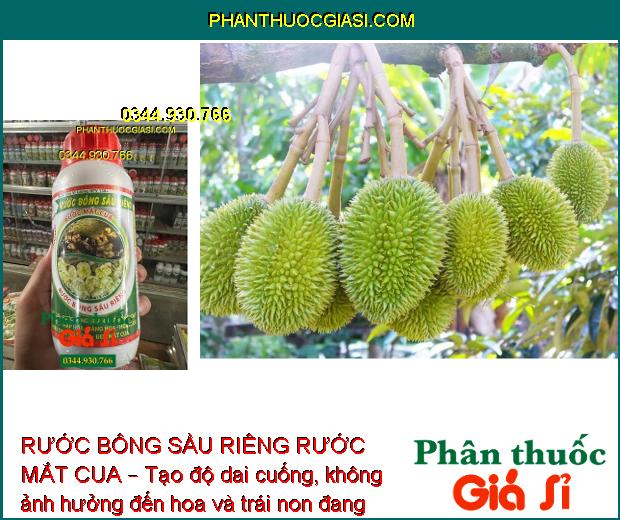 RƯỚC BÔNG SẦU RIÊNG RƯỚC MẮT CUA – Ra Hoa Đồng Loạt - Dai Cuống - Chống Rụng Trái Non