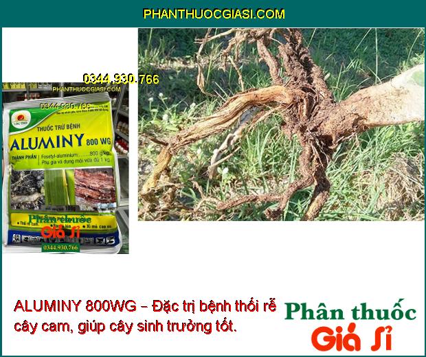 ALUMINY 800WG – Thuốc Đặc Trị Thối Rễ Cam - Bạc Lá Lúa - Xì Mủ Cao Su