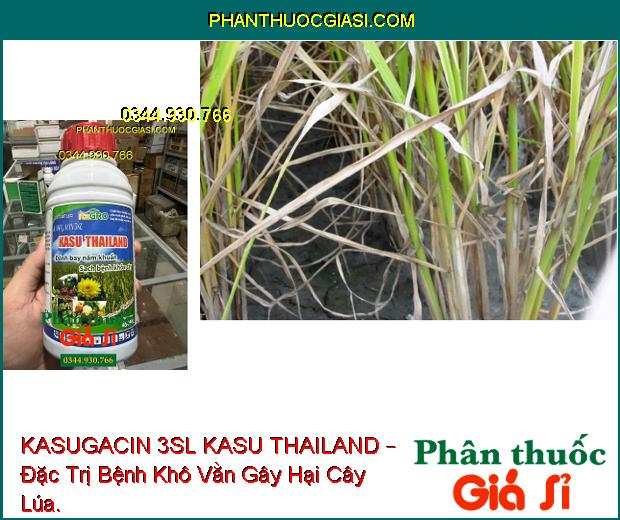 KASUGACIN 3SL KASU THAILAND – Đặc Trị Bệnh Khô Vằn - Đạo Ôn Trên Lúa - Sương Mai Trên Dưa Chuột