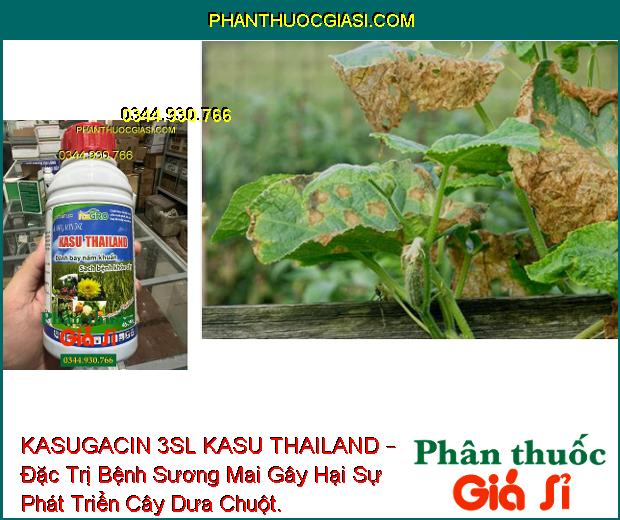 KASUGACIN 3SL KASU THAILAND – Đặc Trị Bệnh Khô Vằn - Đạo Ôn Trên Lúa - Sương Mai Trên Dưa Chuột