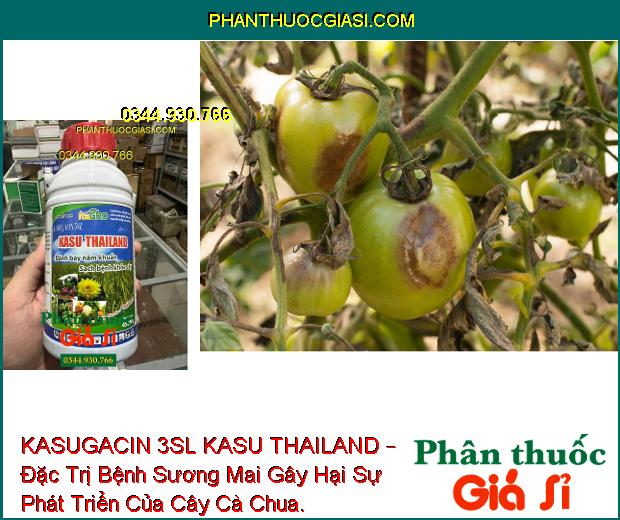 KASUGACIN 3SL KASU THAILAND – Đặc Trị Bệnh Khô Vằn - Đạo Ôn Trên Lúa - Sương Mai Trên Dưa Chuột