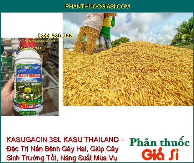 KASUGACIN 3SL KASU THAILAND – Đặc Trị Bệnh Khô Vằn - Đạo Ôn Trên Lúa - Sương Mai Trên Dưa Chuột